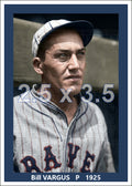 Bill Vargus - 1925 Boston Braves - choose a size & style