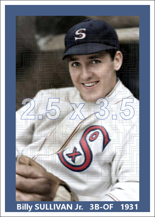 Billy Sullivan Jr. - 1931 Chicago White Sox - choose a size & style