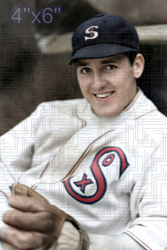 Billy Sullivan Jr. - 1931 Chicago White Sox - choose a size & style