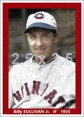 Billy Sullivan Jr. - 1935 Cincinnati Reds - choose a size & style
