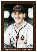 Billy Sullivan Jr. - 1938 St. Louis Browns - choose a size & style