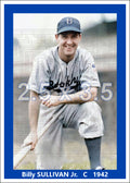 Billy Sullivan Jr. - 1942 Brooklyn Dodgers - choose a size & style