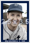 Billy Sullivan Jr. - 1940 Detroit Tigers - choose a size & style