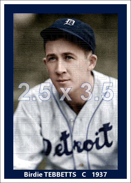 Birdie Tebbetts - 1937 Detroit Tigers - choose a size & style