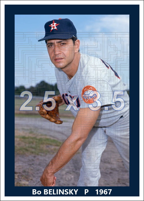 Bo Belinsky - 1967 Houston Astros - choose a size & style