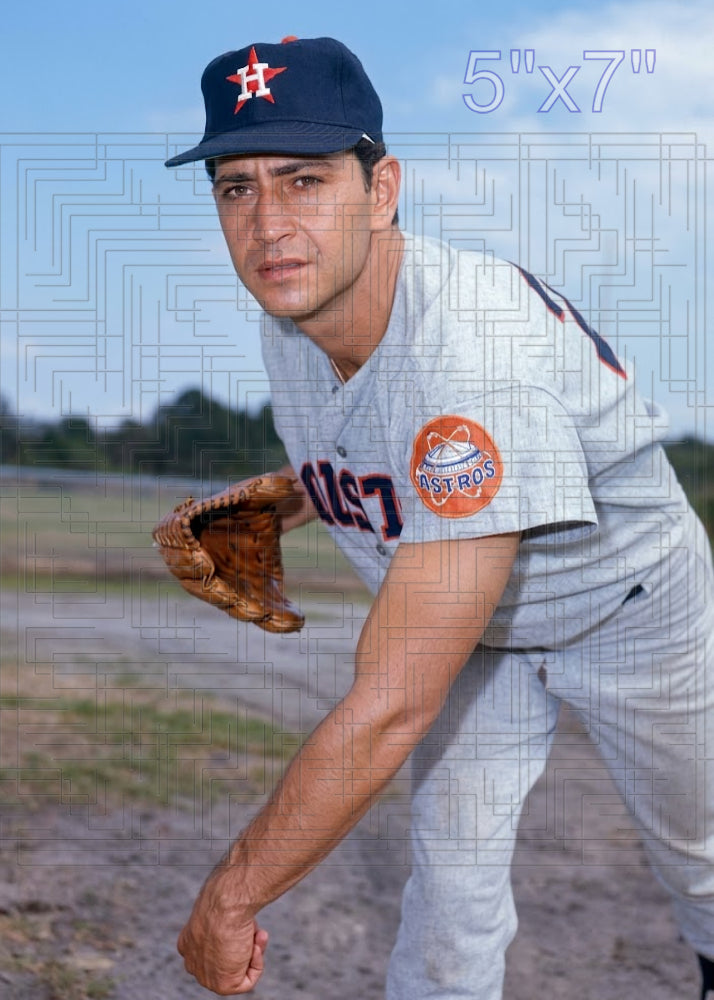 Bo Belinsky - 1967 Houston Astros - choose a size & style
