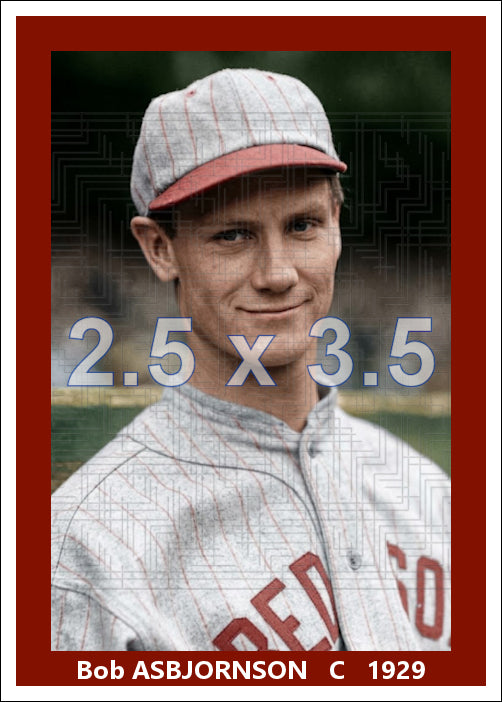 Bob Asbjornson - 1929 Boston Red Sox - choose a size & style