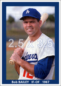 Bob Bailey - 1967 Los Angeles Dodgers - choose a size & style
