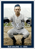 Bob Collins - 1944 New York Yankees - choose a size & style