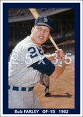 Bob Farley - 1962 Detroit Tigers - choose a size & style