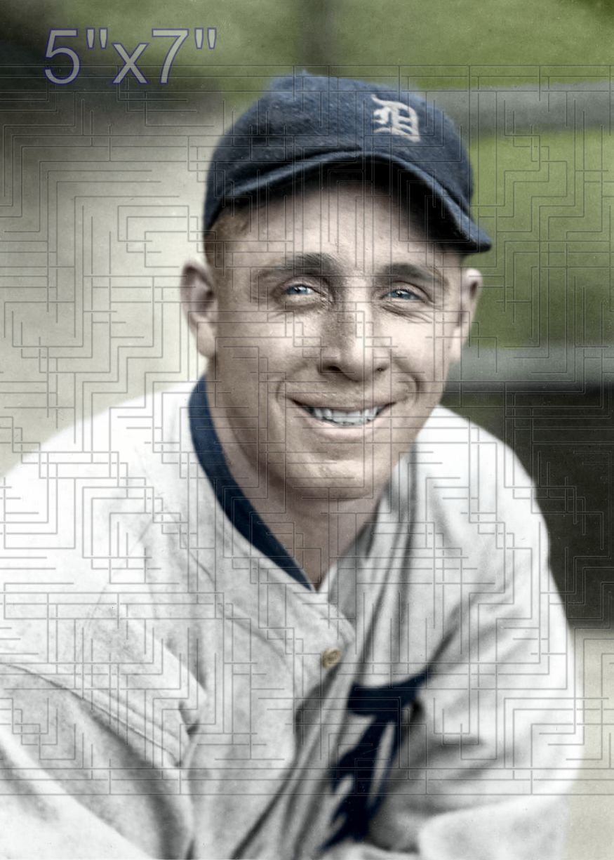 Bob Fothergill - 1923 Detroit Tigers - choose a size & style