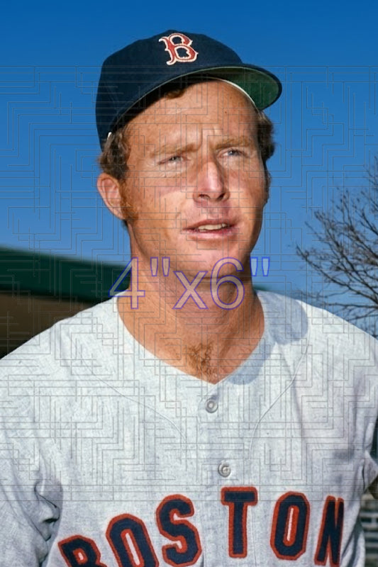 Bob Gallagher - 1972 Boston Red Sox - choose a size & style