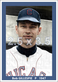Bob Gillespie - 1947 Chicago White Sox - choose a size & style