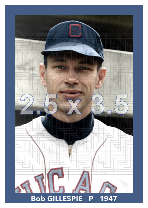 Bob Gillespie - 1947 Chicago White Sox - choose a size & style