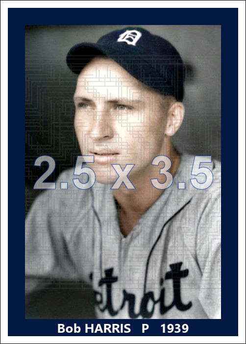 Bob Harris - 1939 Detroit Tigers - choose a size & style