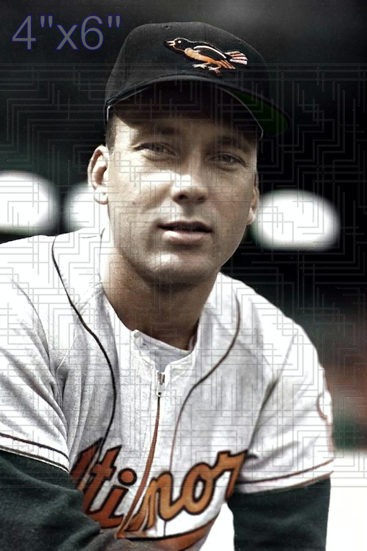 Bob Harrison - 1956 Baltimore Orioles - choose a size & style