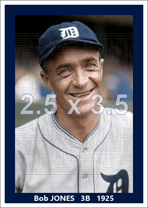 Bob Jones - 1925 Detroit Tigers - choose a size & style