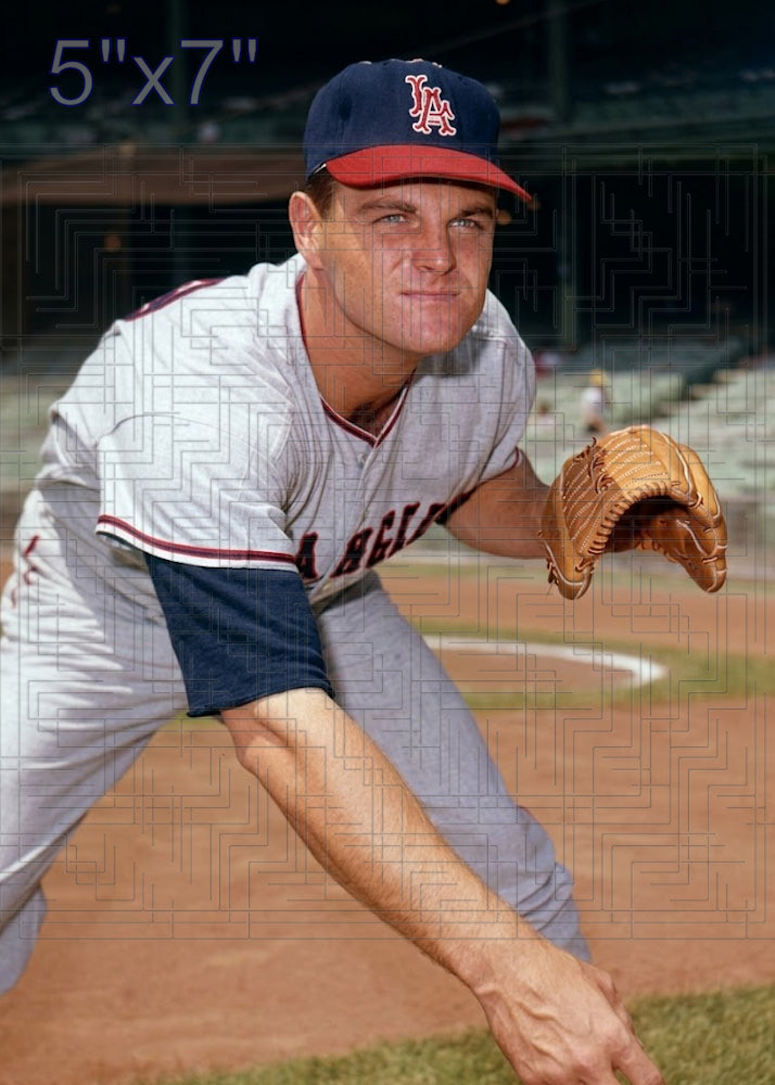 Bob Lee - 1964 Los Angeles Angels - choose a size & style
