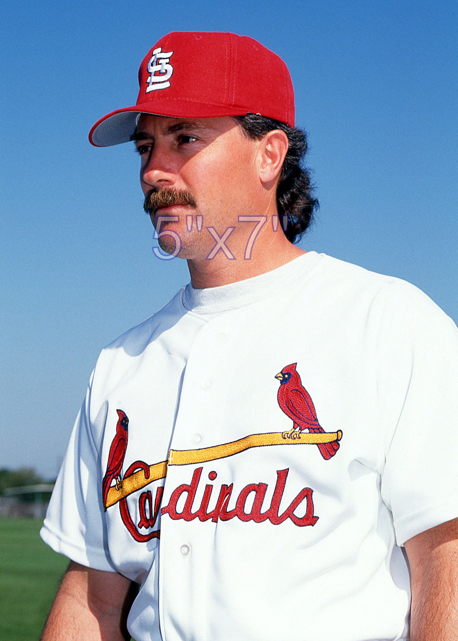 Bob McClure - 1992 St. Louis Cardinals - choose a size & style
