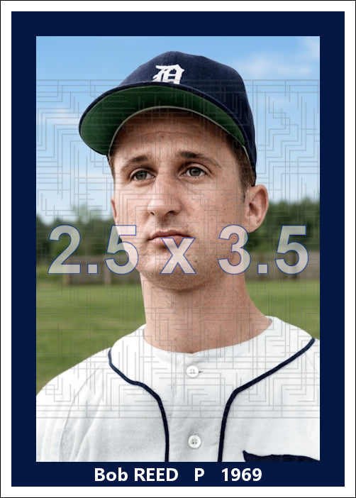 Bob Reed - 1969 Detroit Tigers - choose a size & style