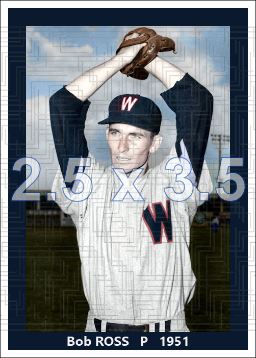 Bob Ross - 1951 Washington Senators - choose a size & style