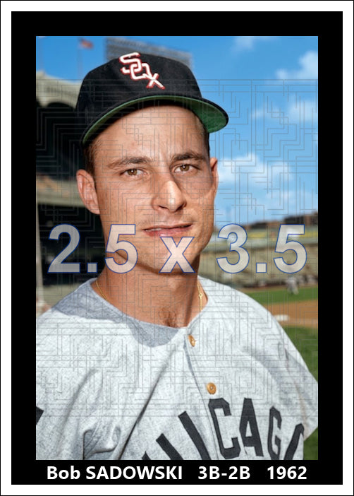 Bob Sadowski - 1962 Chicago White Sox - choose a size & style