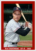 Bob Sadowski - 1963 Los Angeles Angels - choose a size & style