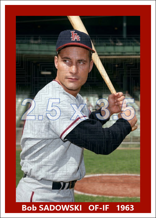 Bob Sadowski - 1963 Los Angeles Angels - choose a size & style