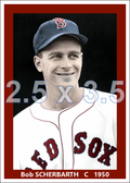 Bob Scherbarth - 1950 Boston Red Sox - choose a size & style