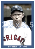 Bob Seeds - 1932 Chicago White Sox - choose a size & style