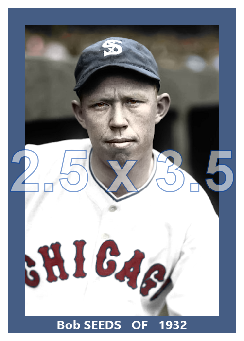 Bob Seeds - 1932 Chicago White Sox - choose a size & style