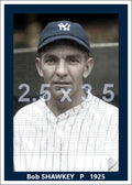 Bob Shawkey - 1925 New York Yankees - choose a size & style