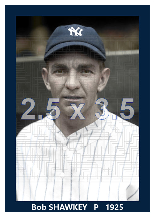 Bob Shawkey - 1925 New York Yankees - choose a size & style