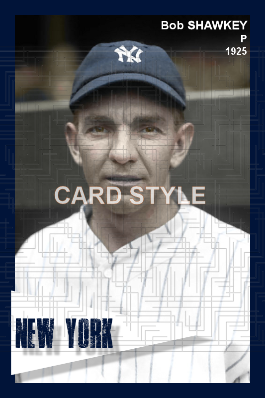 Bob Shawkey - 1925 New York Yankees - choose a size & style