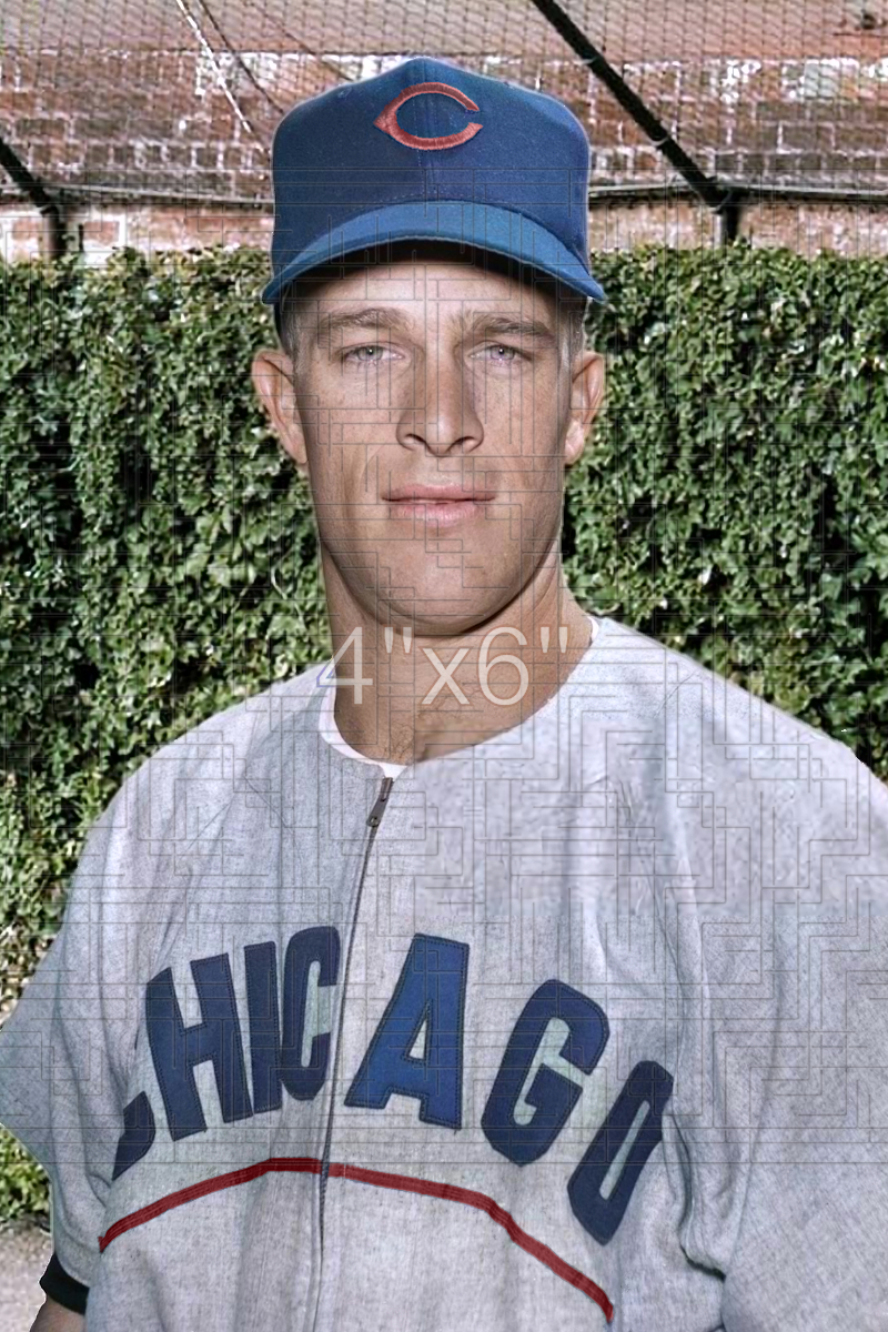 Bob Speake - 1955 Chicago Cubs - choose a size & style
