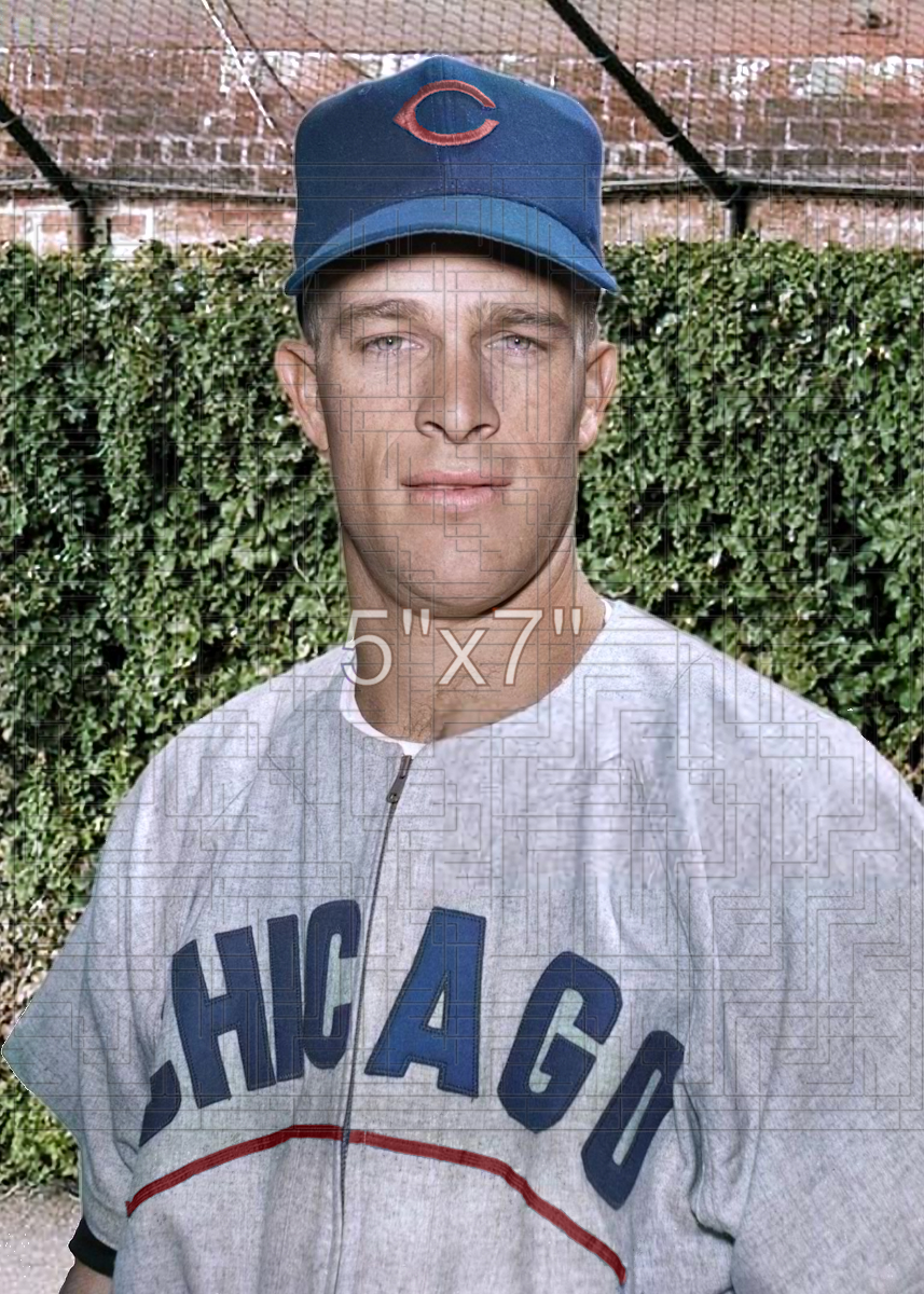 Bob Speake - 1955 Chicago Cubs - choose a size & style