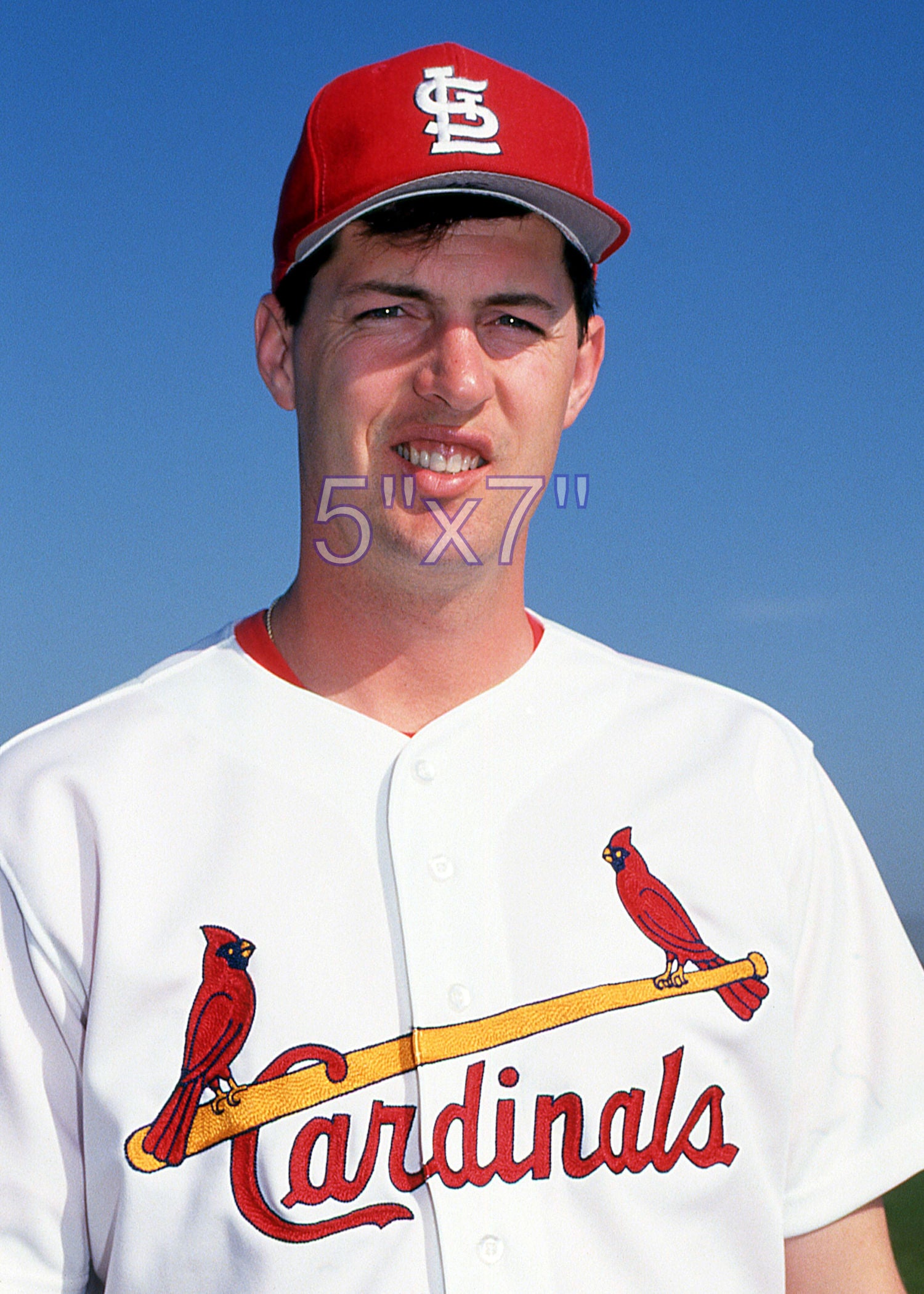 Bob Tewksbury - 1992 St. Louis Cardinals - choose a size & style