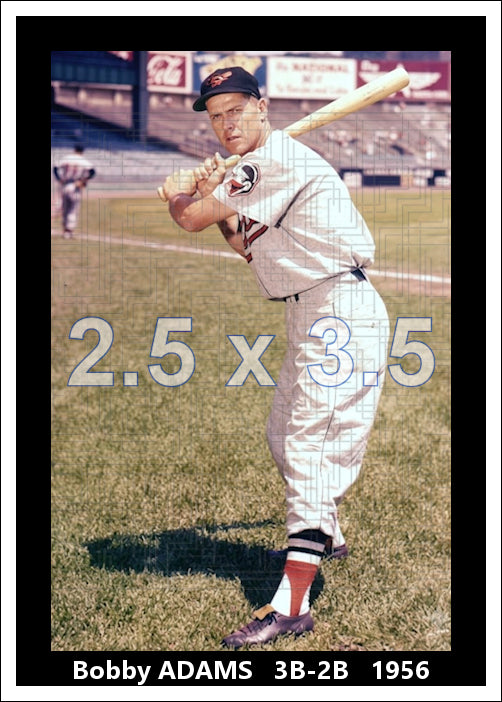 Bobby Adams - 1956 Baltimore Orioles - choose a size & style