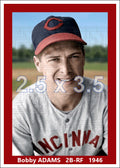 Bobby Adams - 1946 Cincinnati Reds - choose a size & style