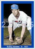 Bobby Adams - 1957 Chicago Cubs- choose a size & style