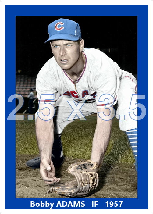 Bobby Adams - 1957 Chicago Cubs- choose a size & style