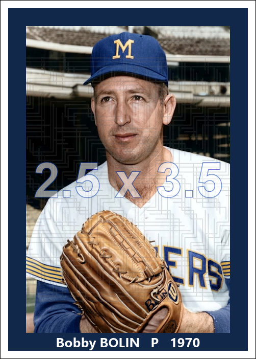Bobby Bolin - 1970 Milwaukee Brewers - choose a size & style