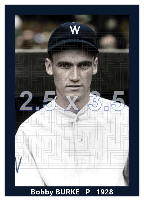 Bobby Burke - 1928 Washington Senators - choose a size & style
