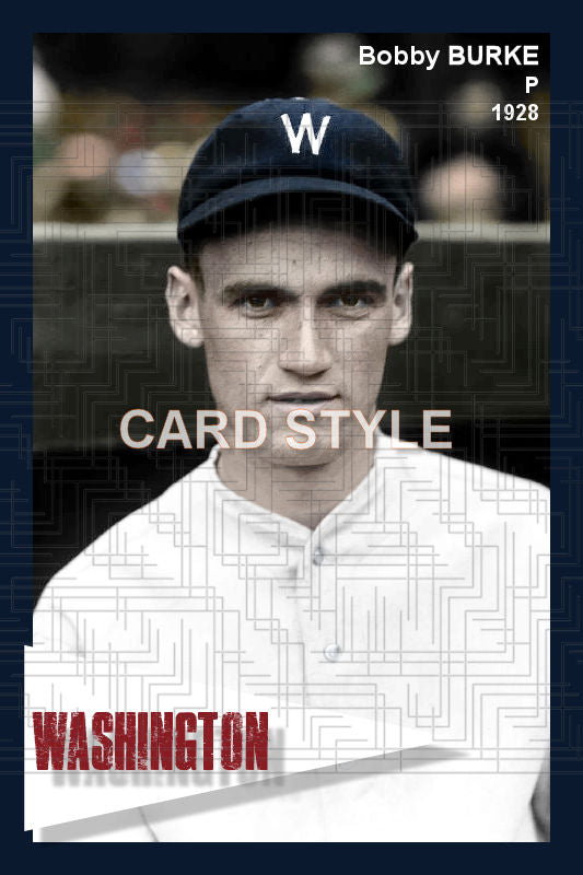 Bobby Burke - 1928 Washington Senators - choose a size & style