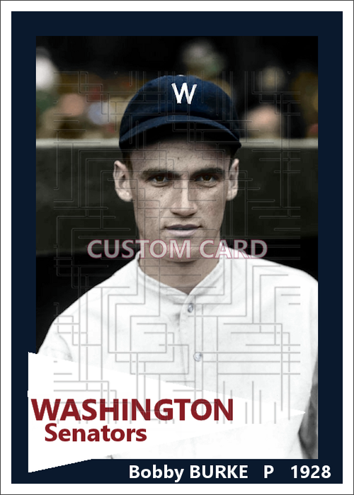 Bobby Burke - 1928 Washington Senators - choose a size & style
