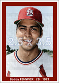 Bobby Fenwick - 1973 St. Louis Cardinals - choose a size & style