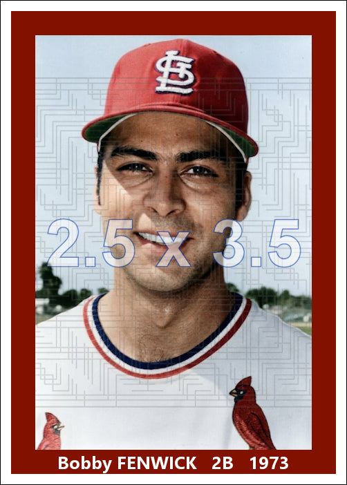 Bobby Fenwick - 1973 St. Louis Cardinals - choose a size & style