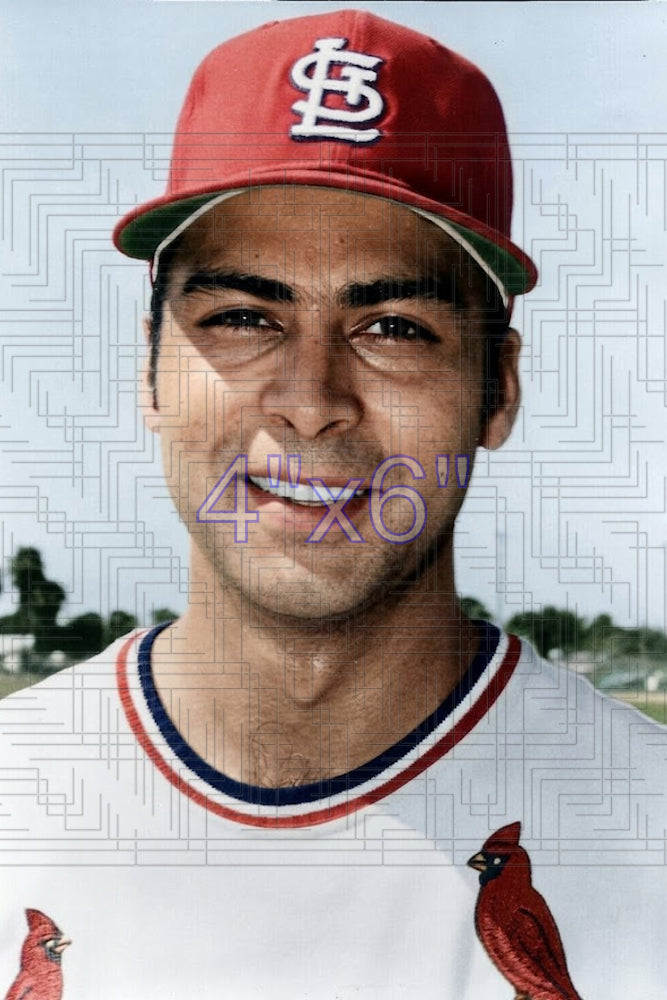 Bobby Fenwick - 1973 St. Louis Cardinals - choose a size & style