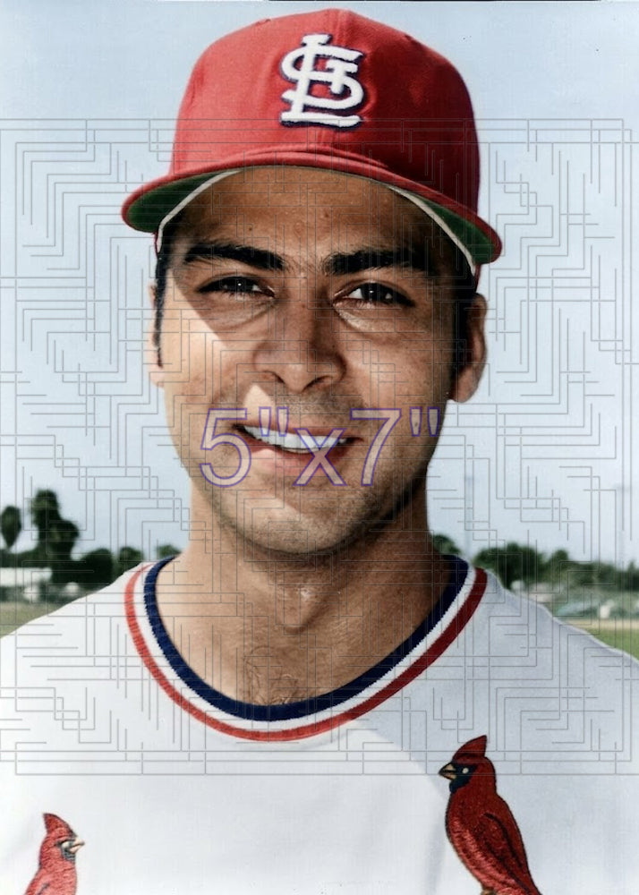 Bobby Fenwick - 1973 St. Louis Cardinals - choose a size & style