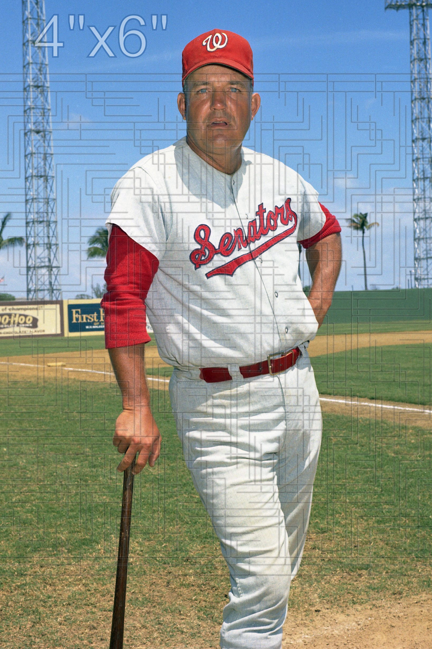Bobby Hofman - 1968 Washington Senators - choose a size & style